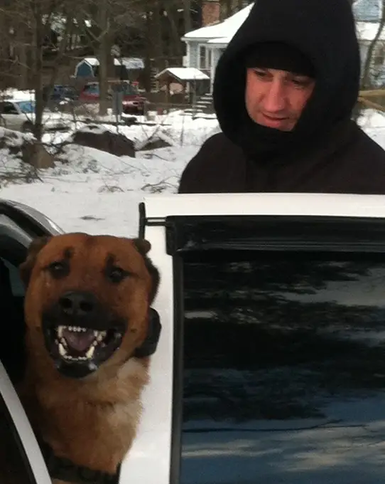 Billy Cushing testimonial image 2